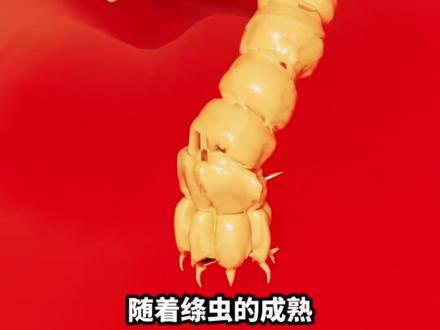 可怕的寄生虫 #科普 #科普一下 #寄生虫 #冷知识