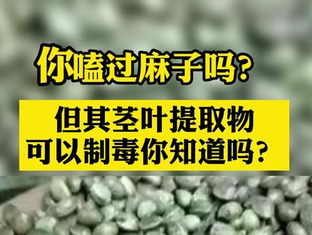 有好多朋友以前一定吃过麻子。#禁毒宣传