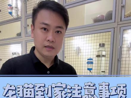 龙猫到家后的注意事项#龙猫 #龙猫日常 #支持全国发货可视频选购 #抖音萌宠嘉年华 #抖in萌宠计划