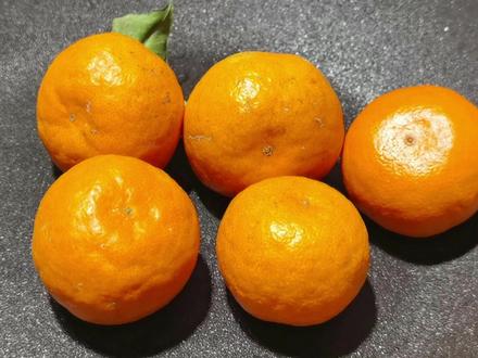 橘子放锅中炒一炒,作用真厉害,阳了的朋友可以试试,省钱又实用 #美食 #我的养生食谱 #桔子 #感染新冠后怎么吃 #桔子的神仙吃法