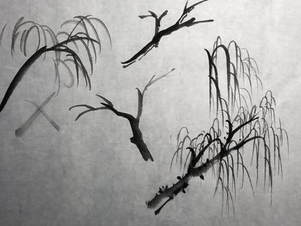 国画柳树怎么画?一次性讲透内部逻辑 #柳树画法 #国画教程 #国画教学 #柳树 #树木画法