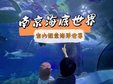 下雨天去哪里遛娃好呢?来南京的海底世界吧,带娃探索海底的奥秘,人鱼🧜♀️表演海豚🐬表演也很赞的哦#国庆假期逛海底世界#海底世界真奇妙 #亲子游玩好去处 #国庆超会玩指南 #美人鱼表演