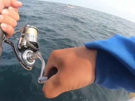 达瓦 CERTATE LT 5000在同量级轻型纺车轮装备里应该算得上是佼佼者了 结构轻巧紧凑重量轻 。虽然不如同名CERTATE SW那般强悍 但极低的重量跟可靠性在同量级里面算得上无敌的存在
海钓型号推荐 LT版本最大型号5000分为三种LT5000D LT5000D-XH.
XH是高速适合水面戏或轻型铁板 D是低速比 适合铁板钓法 ,还有一种 LT5000C-XH 因为轻量化的原因 强度不如前两种 所以不推荐海钓使用 当然了最佳的解决方案还是每种型号都入手一台
CERTATE SW版本相比LT 更适合海钓使用不是十分虚弱的人建议还是选SW版的
想了解更多关于这款轮子的欢迎评论区讨论 #钓鱼人 #海钓 #路亚 #原来钓鱼才是抖音运动顶流 #NO1巨浪 #慢摇铁板