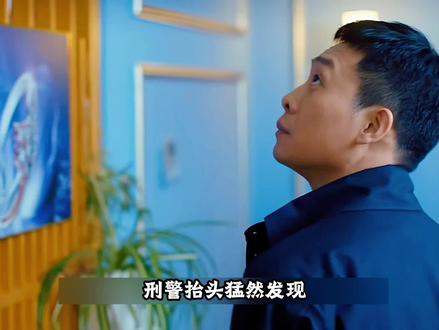 刑警队长只是看了一眼监控,就立马意识到屋里进了贼。#影视解说#好剧推荐#我的观影报告
