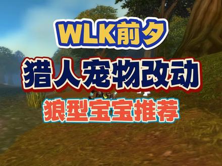 WLK前夕猎人宠物改动,狼型宝宝崛起,附带抓取地点 #魔兽世界 #魔兽怀旧服 #WLK #游戏创想行动