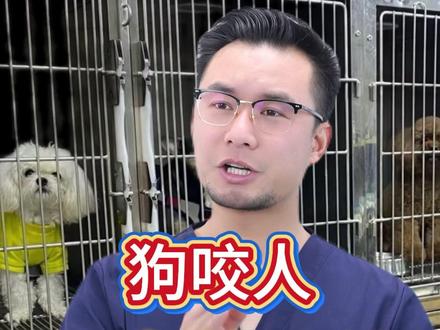 狗咬人,到底改怎么做?#养狗人 #科学养宠攻略 #萌宠出道计划