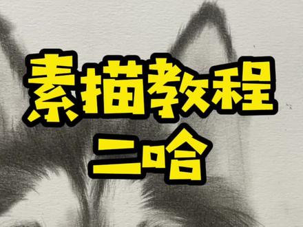 来一只可爱又帅气的哈士奇#素描#素描动物 #来支铅笔素描系列教程 @DOU+小助手