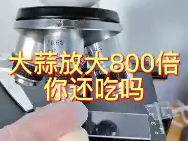 #微观大世界 经过冷藏的大蒜能吃吗
