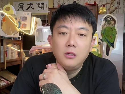 新鸟到家注意事项#鹦鹉 #鹦鹉日常 #鹦鹉应急