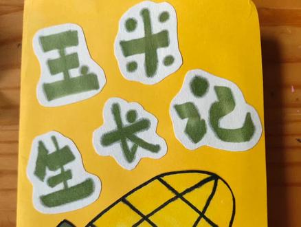 幼儿自制小图书《玉米生长记》
