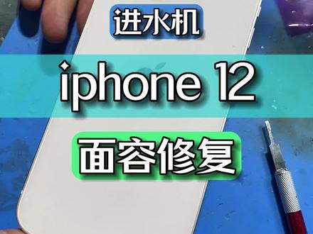 苹果12面容修复详细教程#面容修复 #专业的事交给专业的人 #苹果手机维修