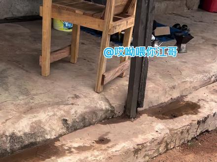 哎呦喂!你拽哥来了。#非洲农村生活#非洲十二少