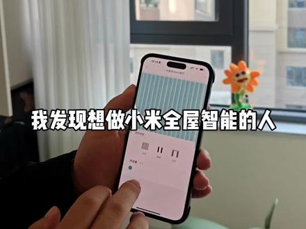 做小米全屋智能的人都做错了! #米家智能#狗哥智能