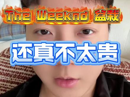 确实超出我的想象了,居然不贵哈哈哈 #盆栽演唱会 #theweeknd #盆栽哥 #theweeknd演唱会 #theweeknd香港演唱会