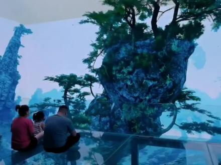 6.22号盛大开业,提前囤好价#悬空玻璃剧场 #幻境空间梦幻乐园