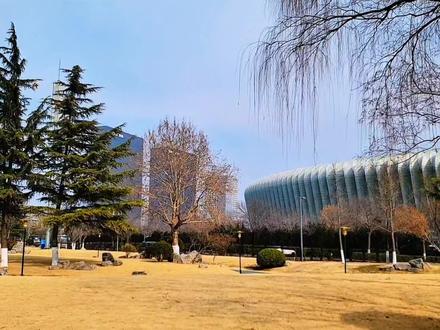 《别辜负眼前季节》‖ 以春日意象唤起青春感怀,人生如四季流转,既有“草长莺飞慰籍孤单的残雪”的温柔,也有“雪花飘落”的苦涩。歌词与人生感悟相通:不必执着于季节的缺失或过往的遗憾,而应“敞开双臂”活在当下,用心感受“阳光映在眼睑”的暖意,珍藏每个瞬间。因为“人生最珍贵的,从来都是‘当下’二字”。#随拍#感悟人生#珍惜当下 #品味生活#记录真实生活 #别辜负眼前季节