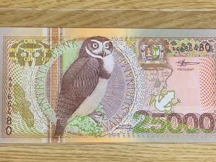 今天讲2000年版苏里南25000盾钞票!这张流通量很少,然后价格又特别贵,所以真的很难入手!我们一起来看吧!