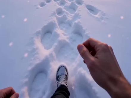 十二星座属于你的专属庇护所#十二星座 #庇护所 #没点艺术细胞刷不到 #祝你马上成功马上发 #全球冷知识