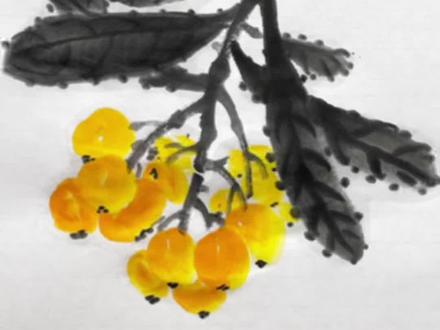 枇杷画法详细教程#国画 #写意花鸟 #国画教学 #零基础学国画 #枇杷画法