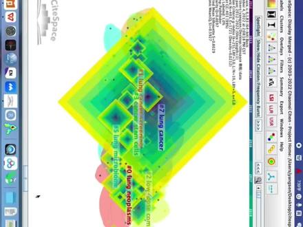 接上一集,继续citespace 可视化软件入门教程,如何进行生成时间线图和突变图,如何将节点方框调为圆点?(三)