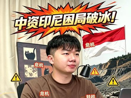 印尼中国商会罕见发声!中资困局破冰,营商环境彻底变天 #印尼营商环境 #中资出海 #镍矿新政 #政策风险 #印尼