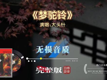 大头针歌曲《梦驼铃》完整版,非常有气势有韵味,听着舒服又震撼 #经典老歌 #梦驼铃 #大头针歌曲合集