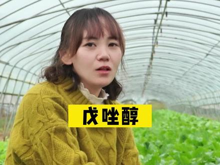 戊唑醇,你用出过药害没有?#戊唑醇 #农业种植 #控旺 #戊唑醇药害