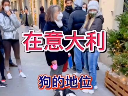 在意大利男人的地位还不如狗呢。#狗是人类最忠诚的朋友 #海外生活 @DOU+上热门 @DOU+小助手