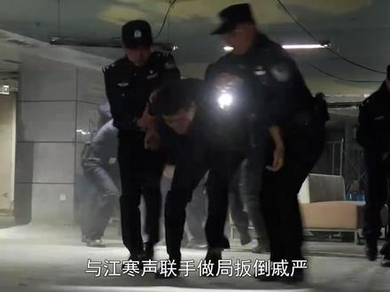 #钢铁森林 蒋诚拿出姚卫海死前遗物,与江寒声联手做局扳倒戚严,替周川报仇#秦俊杰#蔡文静 #井柏然