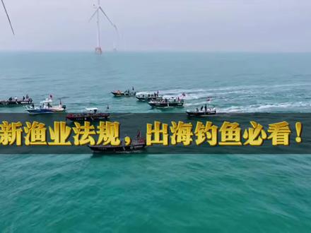 2026 年关于钓鱼人的合法权益,钓鱼人需看 #新修订渔法 #钓鱼人 #禁渔期 #防城港#北海