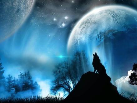 小米手机miui系统BL账户解锁线刷机降级小白教程刷机不求人教程