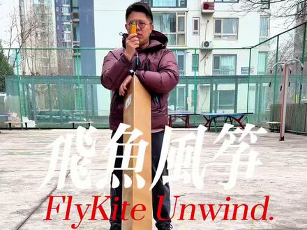 飞鱼风筝,8米翼龙! 飞鱼风筝,8米翼龙! #风筝 #放风筝 #翼龙风筝 #放风筝的季节 #风筝带你飞