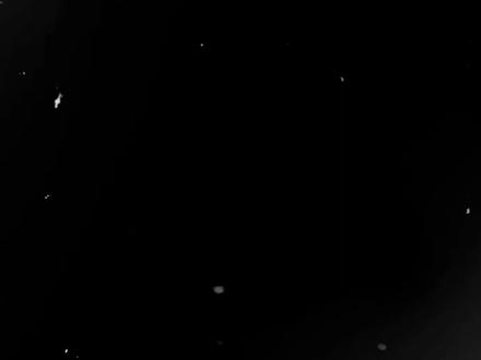 像连麻的是隼!“借什么都借不走,你眼里光彩夺目”《下水道蚂蚁》连麻Swimming/JinJiBeWater_隼#下水道蚂蚁 #连麻swimming #jinjibewater_隼 #中文说唱#五人组