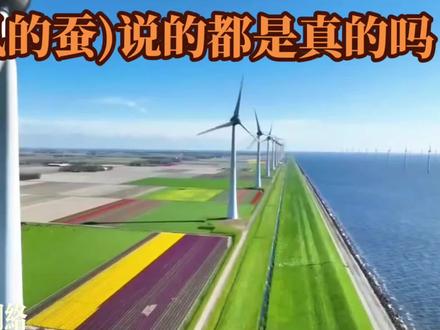 分析听风的蚕讲的事情的真实性 #大国崛起 #文化自信 #国际局势