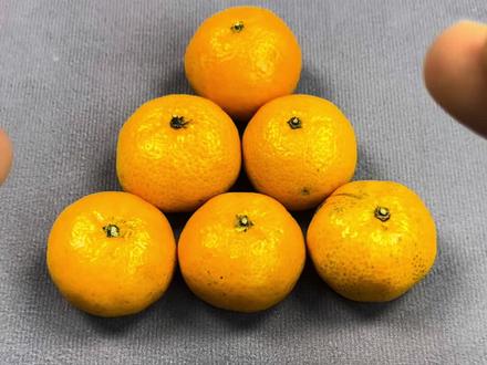 你知道如何移动一枚橘子让三角形颠倒过来吗#魔术