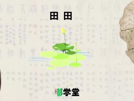 莲叶何田田,“田田”为什么形容荷叶相连盛密? #每天学习一点点 #古诗词 #中华文化 #古文字 #汉字