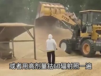 为啥真空大米放久了会凭空冒虫子?难道大米成精了? #涨知识#科普#内容启发搜索#科普一下#保护动物