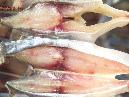 阳西沙扒:金鲳鱼干成了“网红”