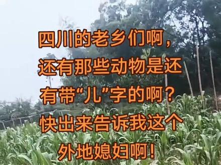 四川人和我们福建娘家的叫动物叫法还真是不一样啊,很搞笑的,四川人喜欢把动物叫成,鸡儿,鸭儿,兔儿,猪儿,猫儿,狗儿,鹅儿,四川的老乡们,还有哪些动物是带“儿”字的啊,快出来告诉我啊?#四川方言