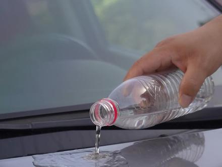 鸟粪落在汽车上,怎么清理不伤车漆? #汽车 #用车有妙招 #新手开车注意事项#汽车人共创计划