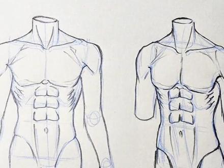 男生人体
#绘画教程 #人体 #男生肌肉 #人体怎么画