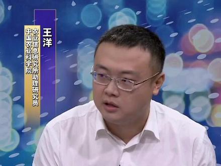 进口国外玉米对国内玉米价格有什么影响