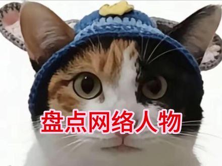 家人们这只猫笑了我一个晚上#超级无敌大开门 #电子大笨猫 #三花猫 #真棒