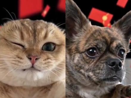 AI万物发射教程来啦!#AI万物发射 #AI分身戏精大赛 #我的AI分身杀疯了 #即梦ai #剪辑教程 AI万物发射ai指令 AI万物发射ai指令教程 AI万物发射ai教程 随变一飞万物发射 万物皆可拍