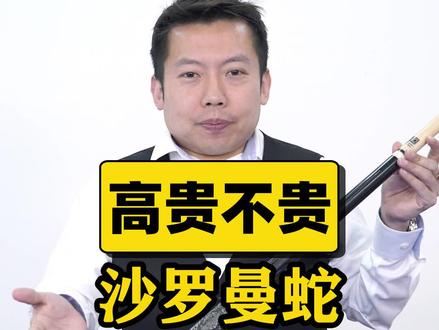 高贵不贵的沙罗曼蛇盘起来#台球 #教学