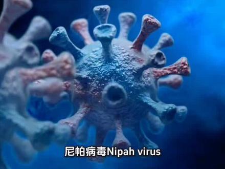 科普什么是尼帕病毒?