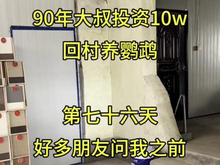 好多朋友问我之前掉毛的小虎皮怎么样了,怎么治的,看看现在怎么样了#草本植物 #农村养殖人的真实生活 #虎皮鹦鹉#养殖经验交流 #鹦鹉脱毛