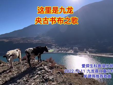 央古书布之歌
#九龙县#人文生态文明建设#彝族歌曲#央古书布之歌#华丘村