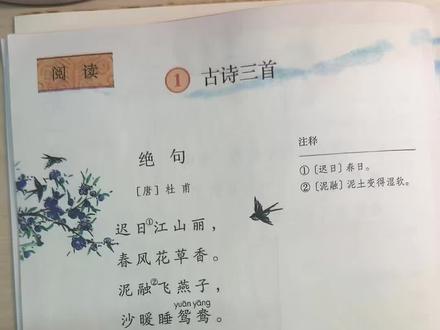 【三年级下册语文】第一课《绝句》生字+古诗讲解|杜甫笔下的春日美景🎨#课文 #小学古诗 #三年级下册语文#语文预习