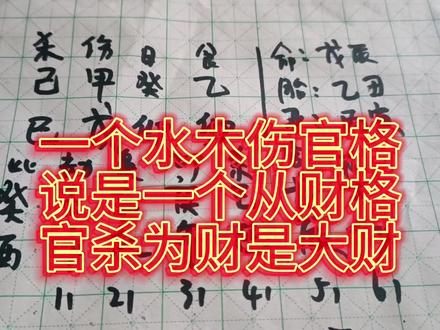一个水木伤官格说是一个从财格,官杀为财是大财,水木伤官官要旺